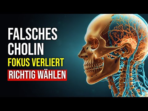 CDP-Cholin vs. Alpha-GPC: Fokus-Booster oder Kopfschmerz? Der Guide, der Geld spart