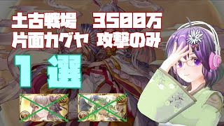 【グラブル】土古戦場肉集め3500万　片面カグヤ・攻撃のみ 1選【GBF】