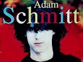 WAITING TO SHINE - ADAM SCHMITT