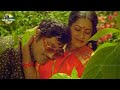 SHOBAN BABU RADHIKA SOORYUDU CHOOSTUNNADU SLOW MELODY SONG ABHIMANYUDU MOVIE