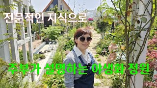 전문적인 지식으로 주부가 설명하는 야생화 정원