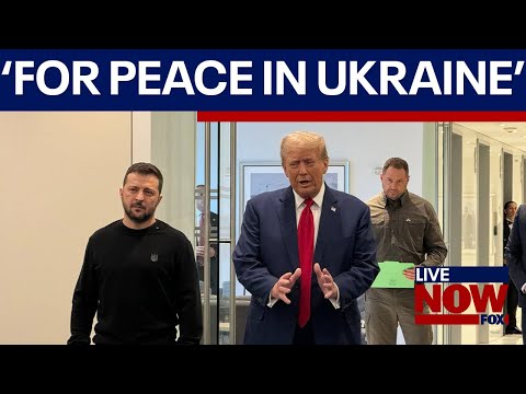 Video | Ukraine's President Zelenskyy 'ready' to resign after Trump talks | LiveNOW from FOX