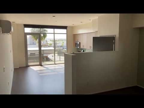 Olea - Video 2 of 2