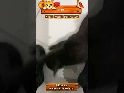 Vídeo de Preto
