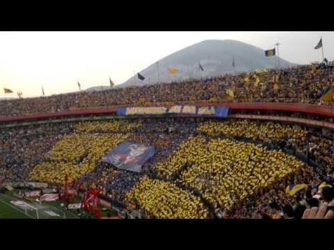 "Recibimiento a Tigres. Libres y Lokos. Clásico 97" Barra: Libres y Lokos &bull; Club: Tigres
