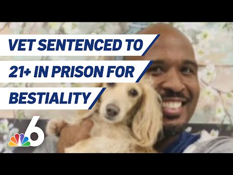 Veterinarian Sentenced to 21+ Years in Prison for Bestiality