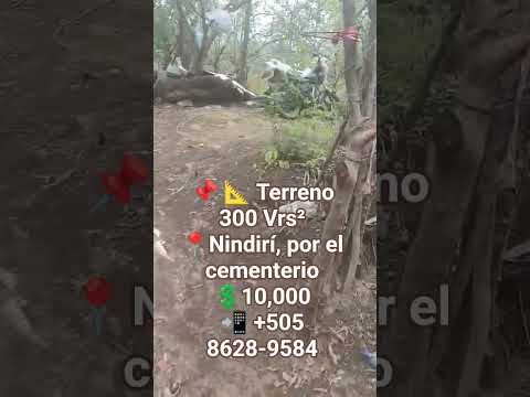 📌 📐 Terreno 300 varas cuadradas📍 Nindirí, por el cementerio 🛣️ A 3 C. Carret.💲10,000📲 +505 8628-9584
