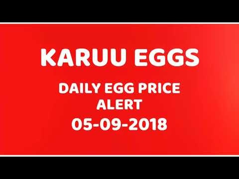download lagu mp3 mp4 Egg Wholesale Singapore, download lagu Egg Wholesale Singapore gratis, unduh video klip Egg Wholesale Singapore