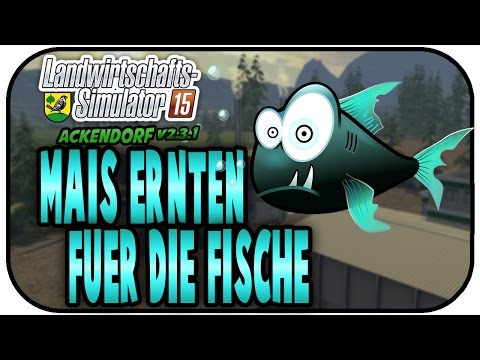 MAIS ERNTEN FÜR DIE FISCHE  #191 - LS15 ACKENDORF V2.3.1 ★Let's Play Farming Simulator 15