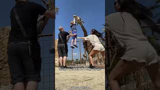 The fast reflexes of parents#baby #kids #funny #children #parents