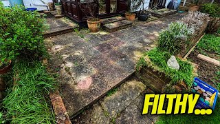 Preview of Algae and Grime Made a DANGEROUS Patio Until We Cleaned it for FREE!.