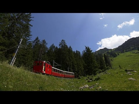 Volldampf #55 | Die Schynige Platte Bahn - Nostalgische Reise auf den Berg