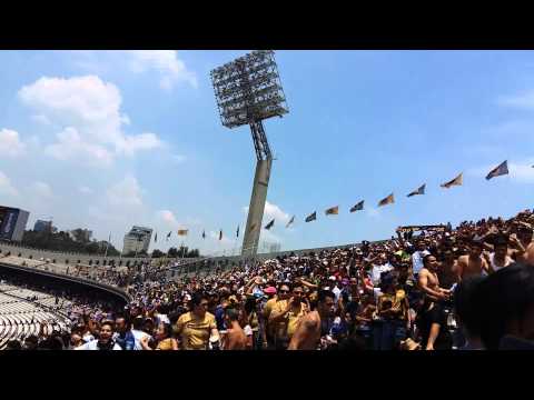 "La Rebel - carnaval toda la vida - Pumas vs dorado" Barra: La Rebel &bull; Club: Pumas