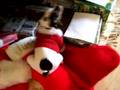 Trouble S First Christmas 2007