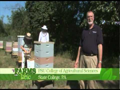 From the Farm to the Table