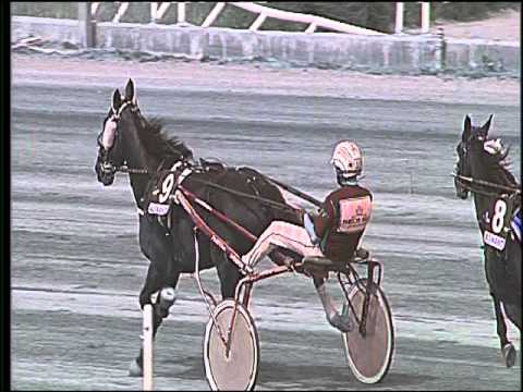 Trotto 17/04/2016 - 2° Corsa