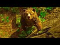 Mowgli Meets Baloo The Jungle Book 2016
