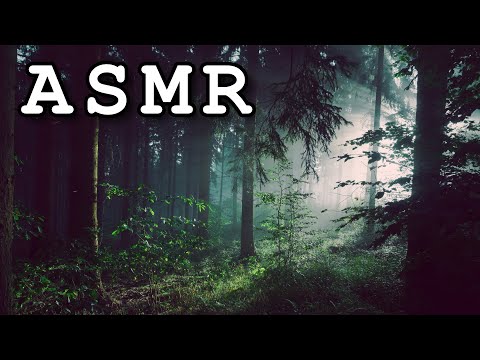 [ASMR] SCP-3930: "The Pattern Screamer" - A Binaural SCP Reading