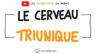 Vignette de [VIDÉO] LE CERVEAU TRIUNIQUE - Les neurosciences en dessins