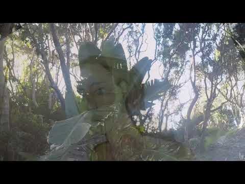 Jumps in the Car by John Moodie