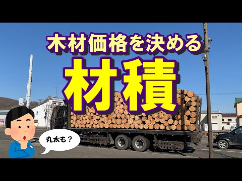 森林の価格