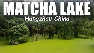 Descubrimos un Lago de Matcha  | China 6