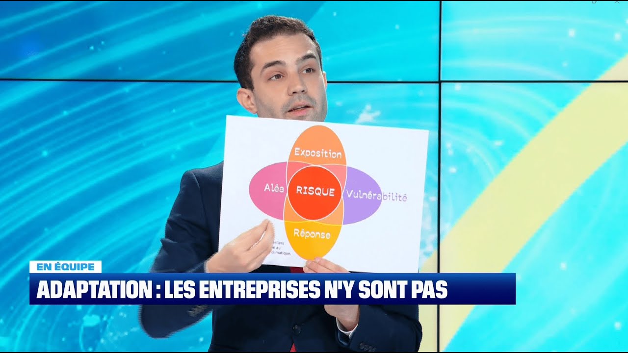 Sur l'adaptation, tout le monde est à côté de la plaque