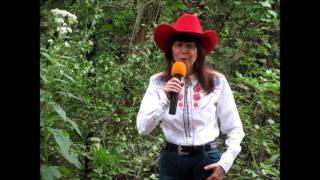I Believe The South Is Gonna Rise Again/Tanya Tucker - Vocal Cover By Diana Lynn Howard
