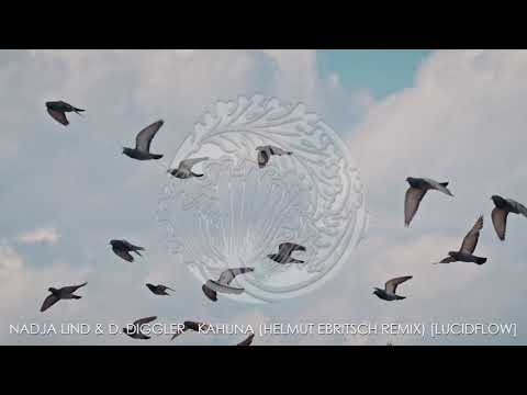 Nadja Lind & D. Diggler - Kahuna (Helmut Ebritsch Remix) [Lucidflow]
