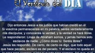 Miniatura del video: El versiculo del dia .com - Juan 8 v31-36