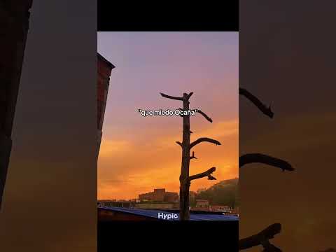 💫 Tantas maravillas por descubrir y muchos aún no lo saben.