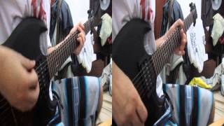 Bigwig - Sellout (guitar cover) Jp