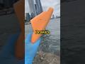Drake S Slipper Found After Viral Drone Video