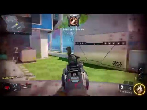 Argus Determinierung