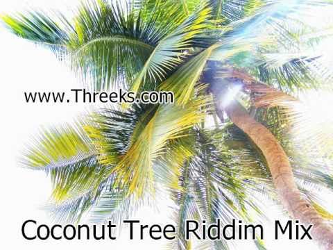 Coconut Tree Riddim Mix - Threeks (Soca 2009)
