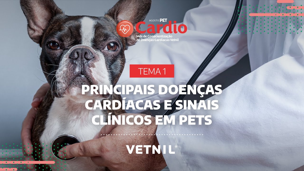 Agosto Pet Cardio – Tema 1: Principais doenças cardíacas e sinais clínicos em pets