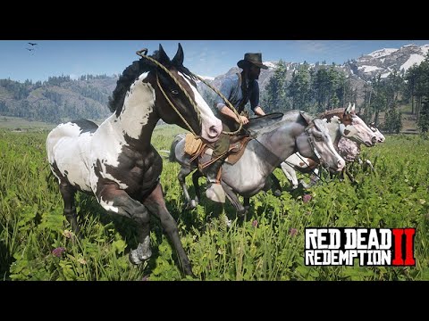 Taming Many Horses - THE HORSE TAMER - 32