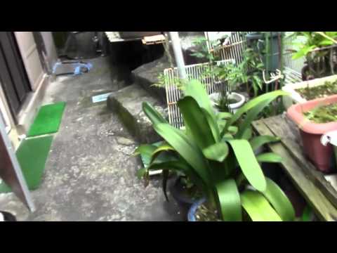 HD 720P walking in Oita, hoto-jima