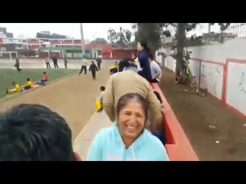 Goles de Flavio Collantes 2018/2019