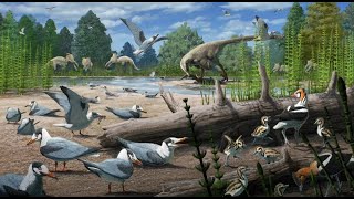 Cretaceous Arctic Birds from the Prince Creek Formation of Northern Alaska