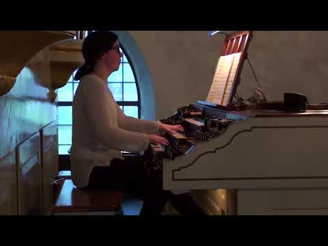 Finska rytteriets marsch. Finland firar 100 år som självständig stat.