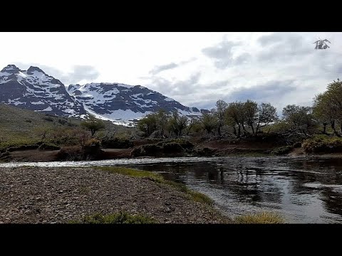 Pesca, norte de Neuquén, con Guille, Victor y Augusto.!!!!