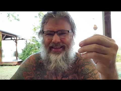 ACIM WB Lesson 44 ~ A COURSE IN MIRACLES WORKBOOK LESSONS ~ 365 DAYS W/ DAVE PHARE