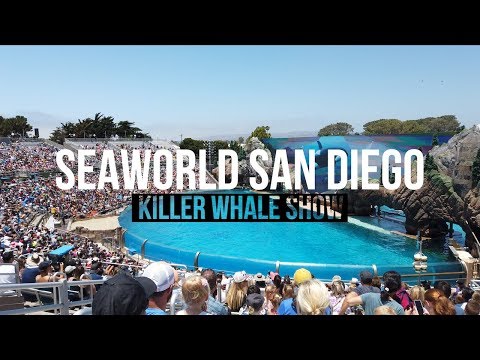 SeaWorld San Diego Full Killer Whale Show 4K