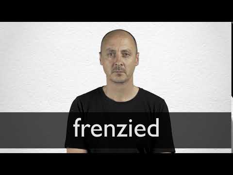 Hindi Translation Of Frenzied Collins English Hindi Dictionary
