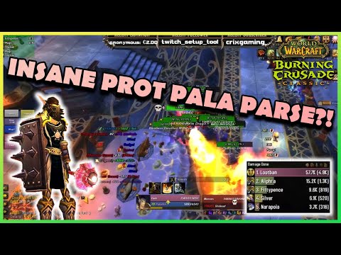 INSANE PROT PALA PARSE?! | Daily Classic WoW Highlights #111 |