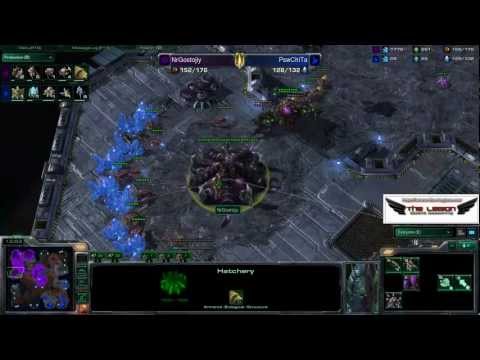 LgNChiTa (P) vs. GoSuostojiy (Z) - ESEA Week 4 - Game 2