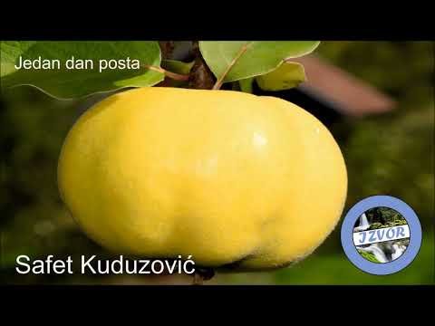 Jedan dan posta, Safet Kuduzović