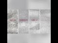 Four types of ice