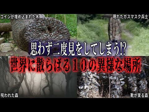 ミドルブリッジの眺め